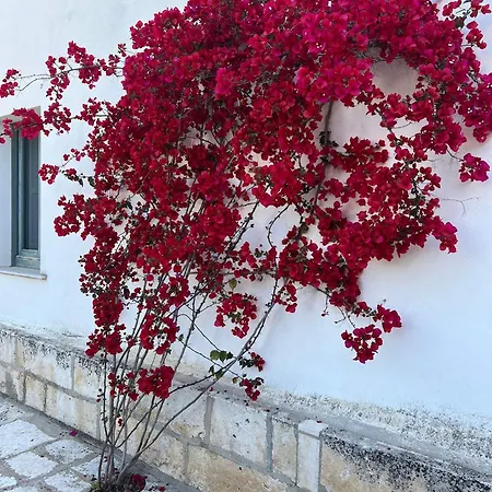 Pavone Marina di Ginosa