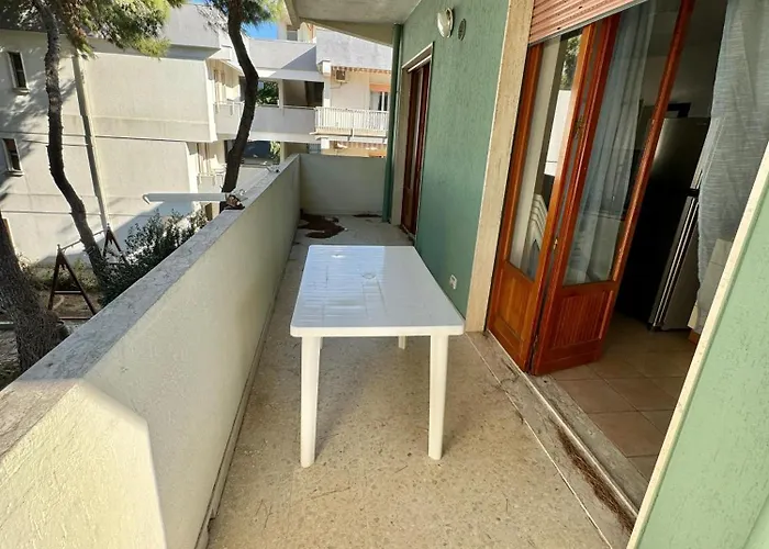 Pavone